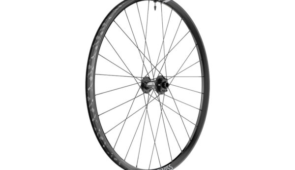 DT Swiss F 1900 Classic DB 29"- Vorderrad