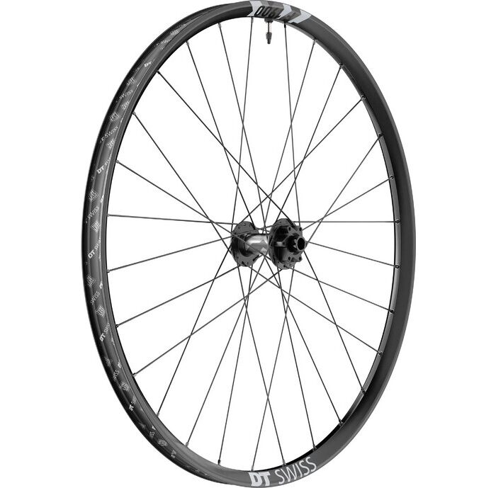 DT Swiss F 1900 Classic DB 29"- Vorderrad