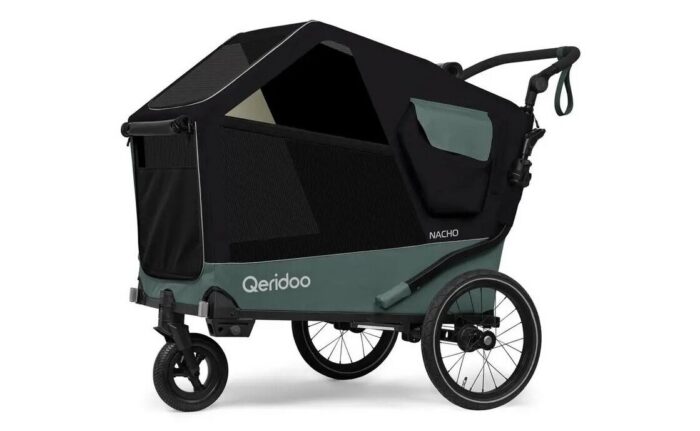 Qeridoo Nacho L Green