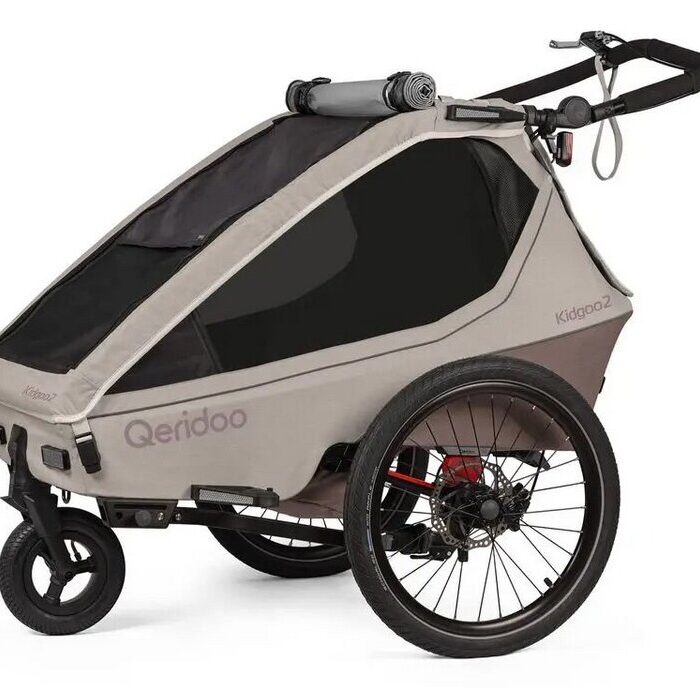 Qeridoo Kidgoo 2 Pro