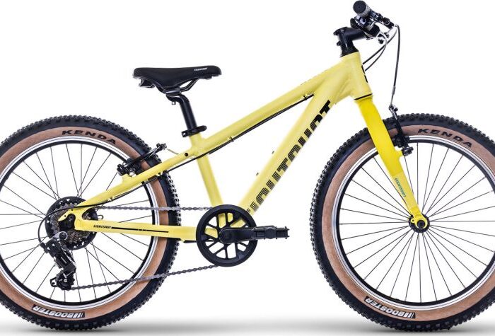 Eightshot X-COADY 20 SL